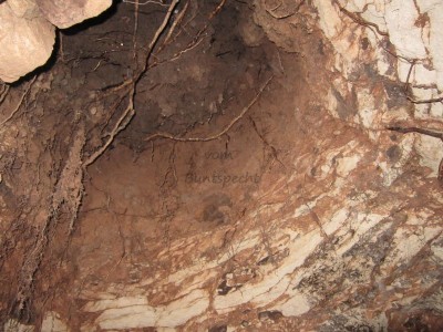 Bildla Nummä 007.jpg