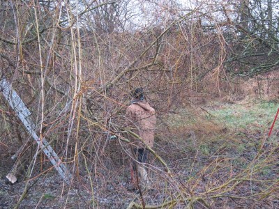 Bildla Nummä 009.jpg