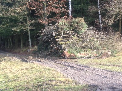 2014-01-19 12.08.42_800x600_500KB.jpg