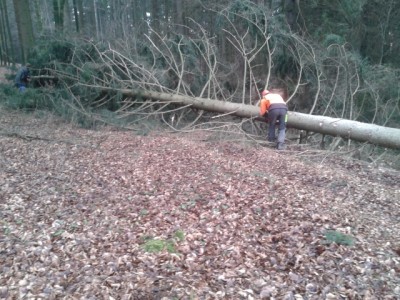 2014-01-23 14.16.01 (640x480).jpg