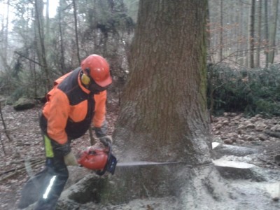 2014-01-23 15.37.56 (640x480).jpg