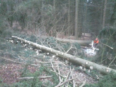 mms_img2020524513 (640x480).jpg