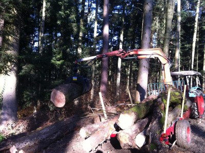 holz holen.JPG