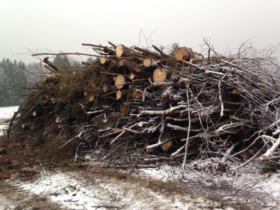 2014-01-25 16.06.51_800x600_500KB.jpg