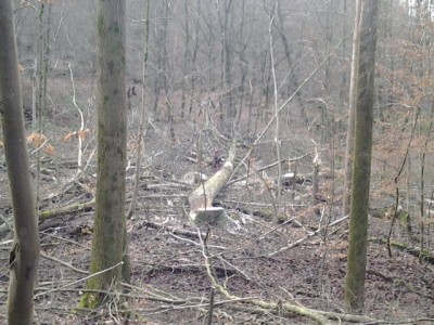 2014-01-14 15.16.02.jpg