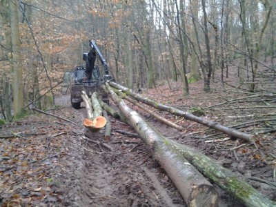 2014-01-16 14.26.32.jpg