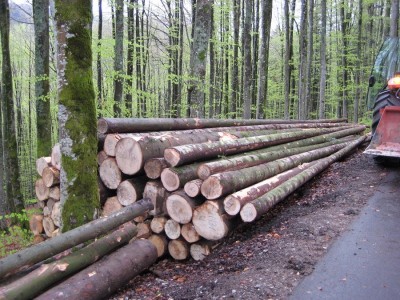 IMG_3772 - Kopie.JPG