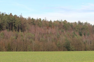 Bildla Nummä 001.jpg