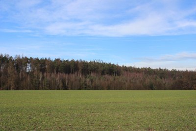 Bildla Nummä 002.jpg