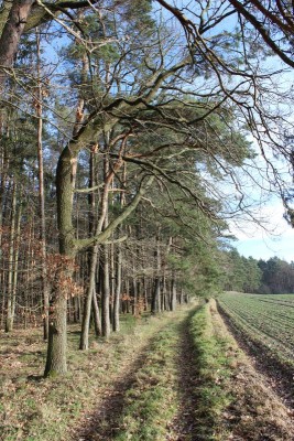 Bildla Nummä 003.jpg