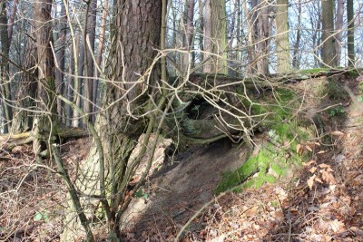 Bildla Nummä 004.jpg