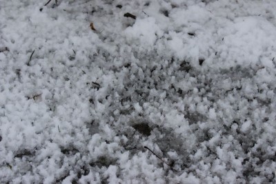 Bildla Nummä 009.jpg