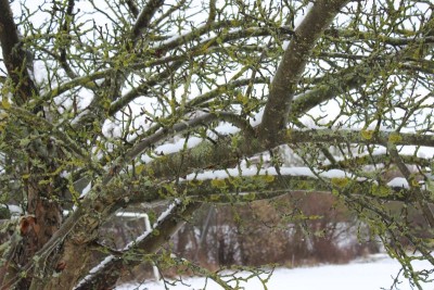 Bildla Nummä 012.jpg