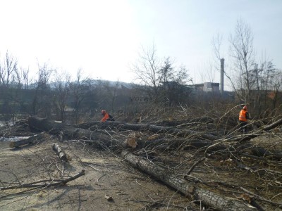 Bildla Nummä 001.jpg