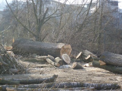 Bildla Nummä 002.jpg