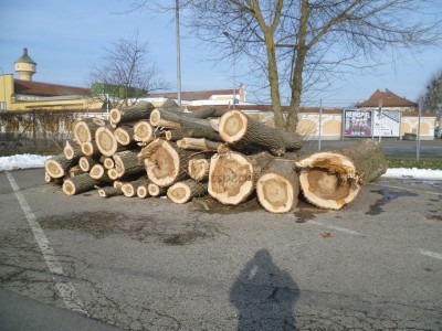 Bildla Nummä 003.jpg