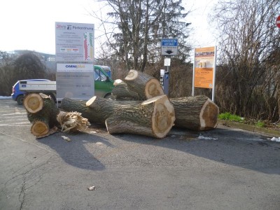 Bildla Nummä 006.jpg