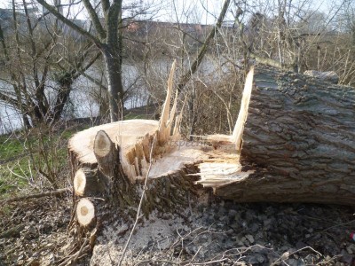 Bildla Nummä 007.jpg