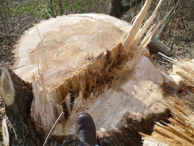 Bildla Nummä 008.jpg