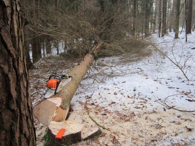 Bildla Nummä 001.jpg