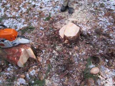 Bildla Nummä 004.jpg