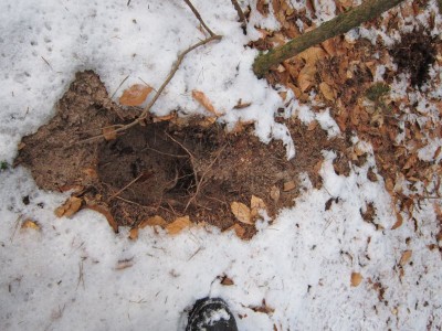 Bildla Nummä 005.jpg