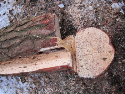 Bildla Nummä 006.jpg