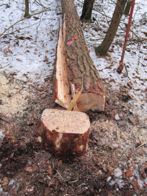 Bildla Nummä 007.jpg