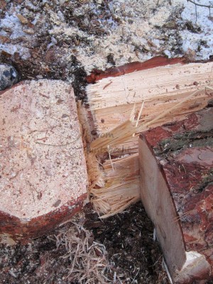 Bildla Nummä 008.jpg