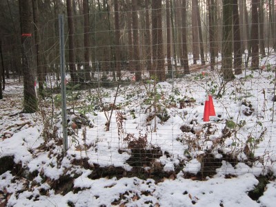 Bildla Nummä 012.jpg