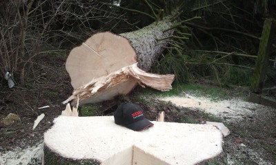 2014-02-01 10.54.01.jpg