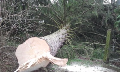 2014-02-01 10.53.52.jpg