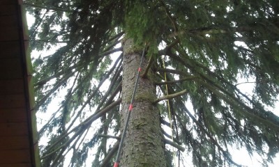 2014-02-01 10.18.25.jpg