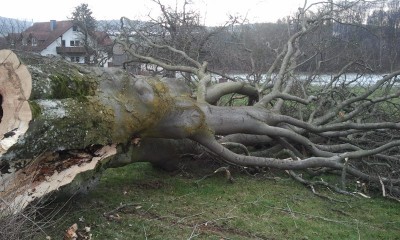 2014-02-01 10.01.40.jpg