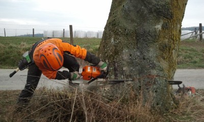 2014-02-01 09.34.30.jpg