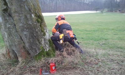 2014-02-01 09.34.05.jpg