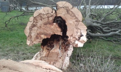 2014-02-01 10.01.31.jpg