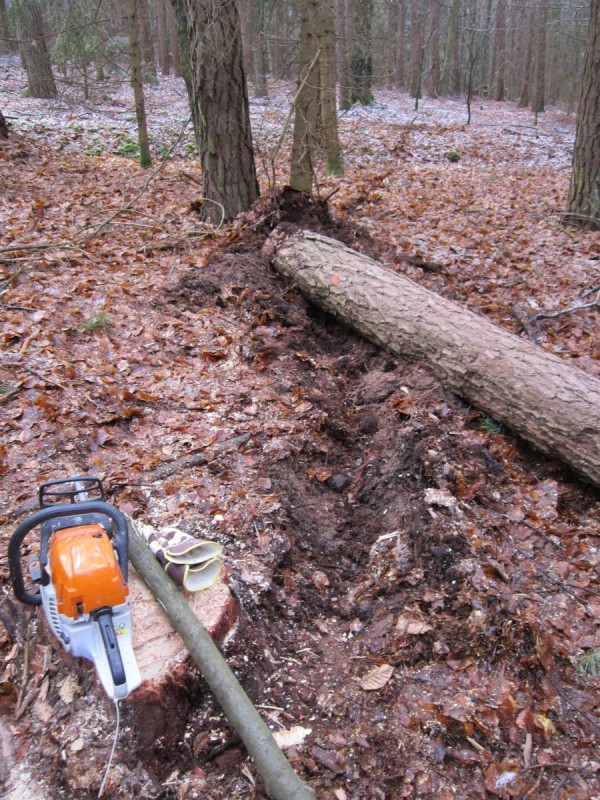 Bildla Nummä 003.jpg