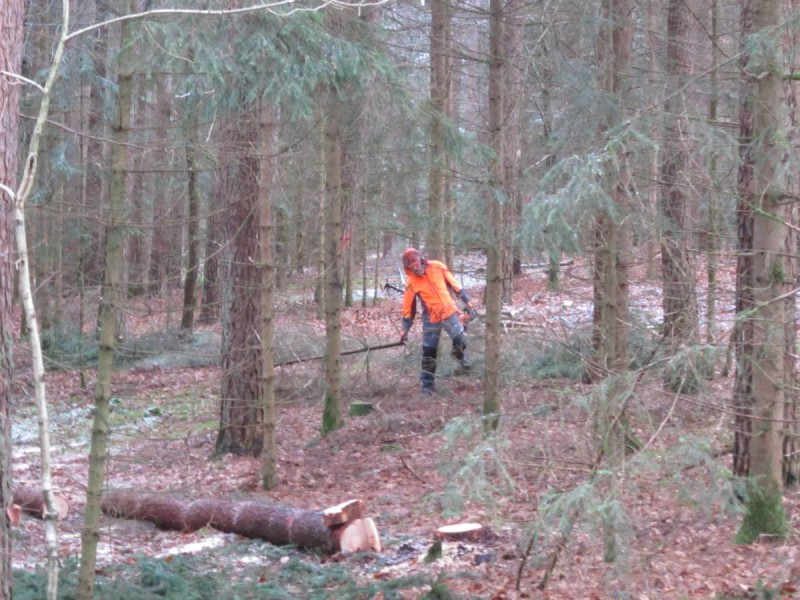 Bildla Nummä 004.jpg