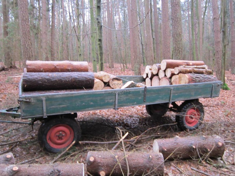 Bildla Nummä 006.jpg