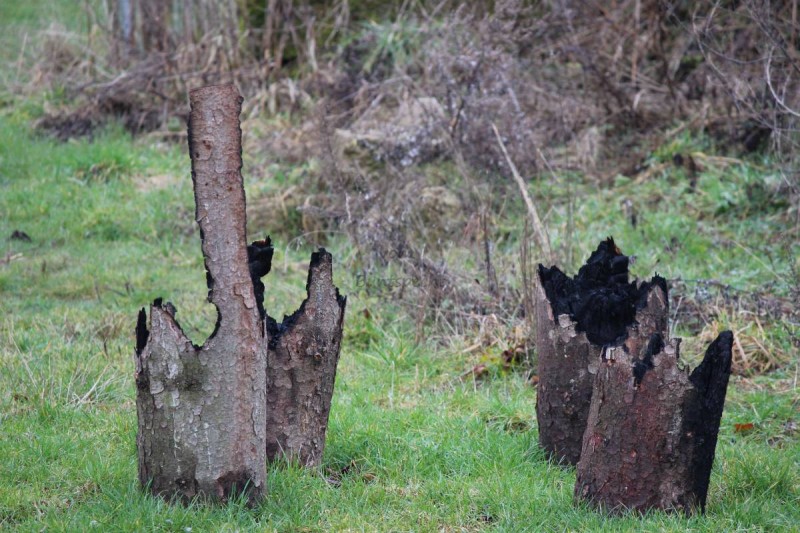 Bildla Nummä 001.JPG