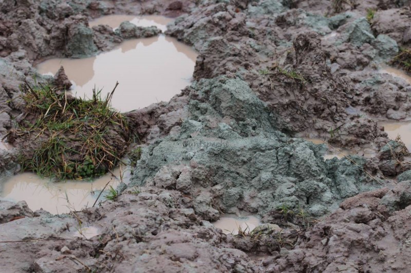 Bildla Nummä 002.JPG