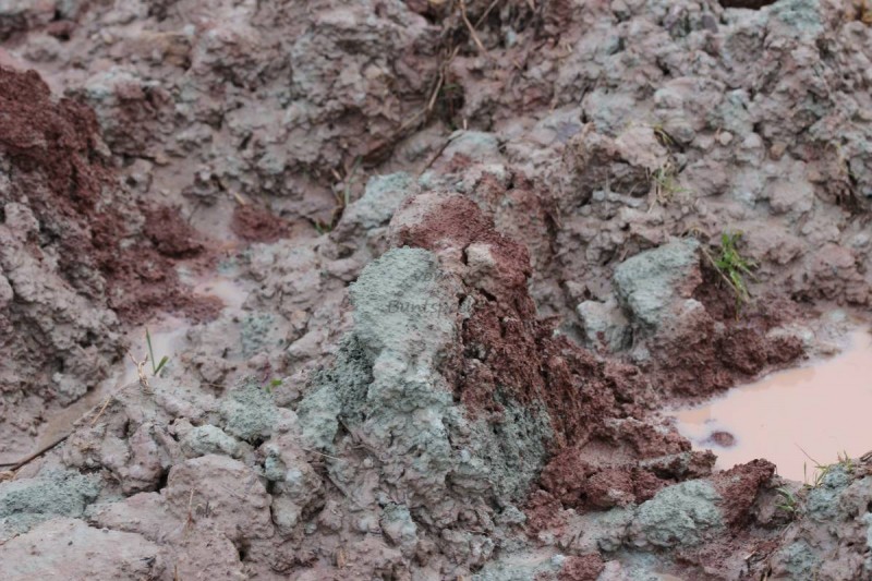 Bildla Nummä 003.JPG