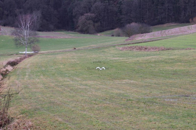 Bildla Nummä 007.JPG