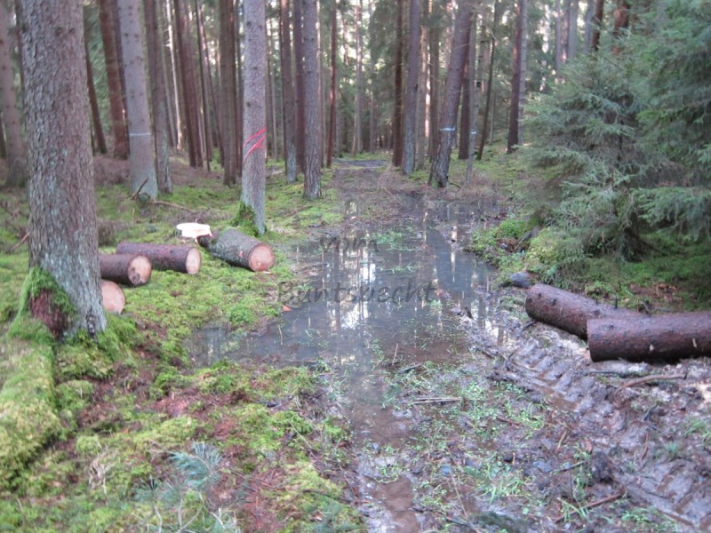 Bildla Nummä 001.jpg