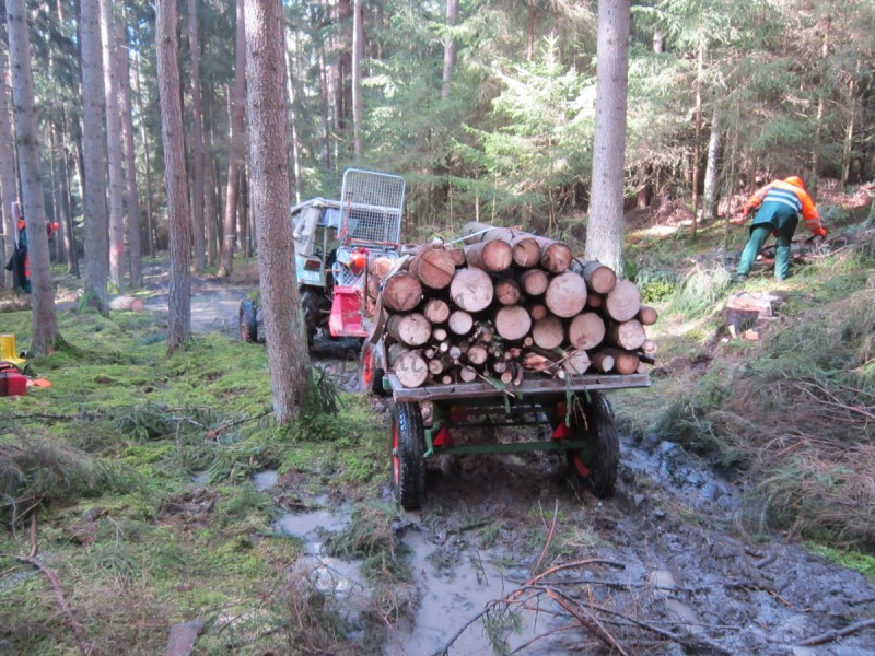 Bildla Nummä 002.jpg