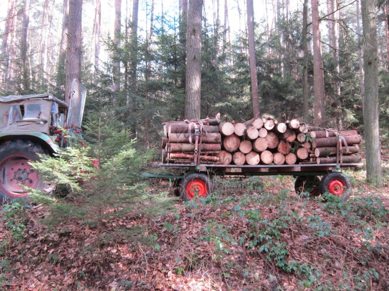 Bildla Nummä 003.jpg