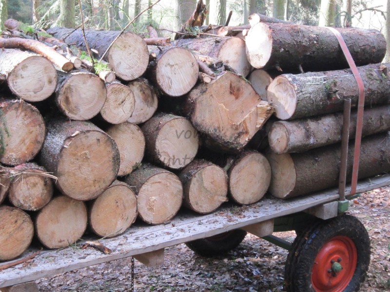 Bildla Nummä 004.jpg