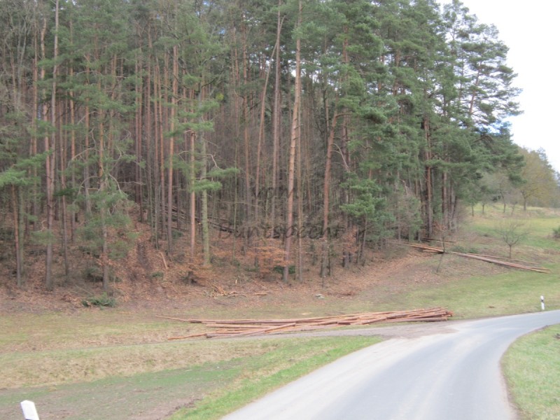 Bildla Nummä 005.jpg