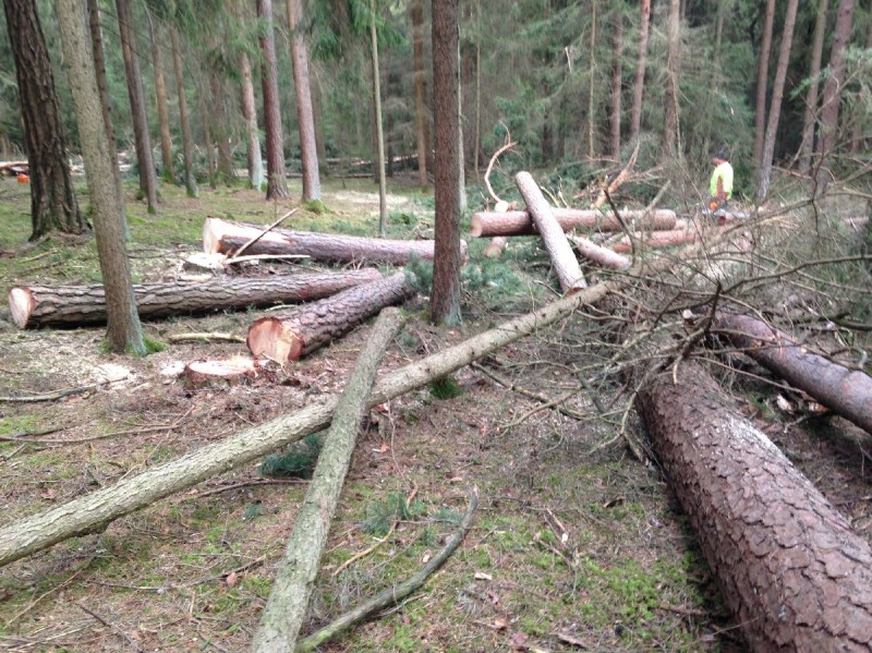 2014-02-15 15.26.04_1200x960_500KB.jpg